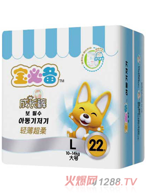 ���؂��p��������LѝL22Ƭ