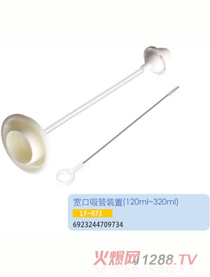 �o(h��)ؐ�����������b��LF-973