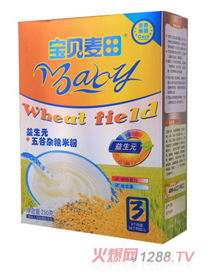 寶貝麥田益生元五谷雜糧米粉3段