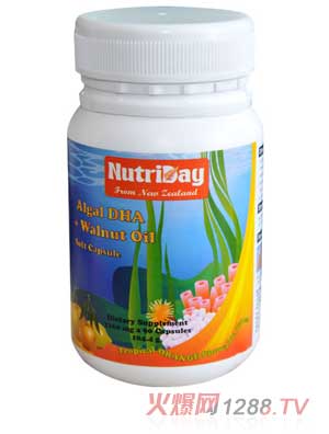 �~�溣����DHA+������