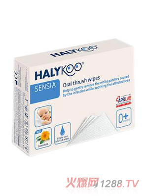 �Ø���yinge��ǻ�Z�گ����