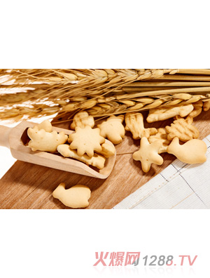 �݋댚�����-�~(y��)��