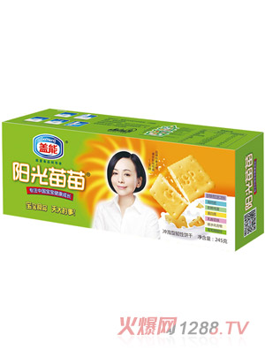 �w��ꖹ������}���